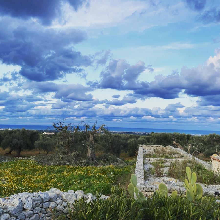 La Guendalina Masseria E Casa Particular Bed & Breakfast Monopoli Luaran gambar