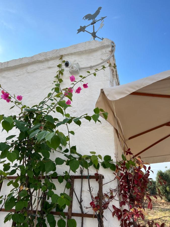 La Guendalina Masseria E Casa Particular Bed & Breakfast Monopoli Luaran gambar