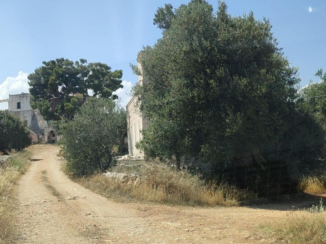La Guendalina Masseria E Casa Particular Bed & Breakfast Monopoli Luaran gambar